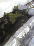 Gambatesa Maria SS della V la Fontana con abbeveratorio e lavatoio