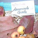 azzeruole gialle