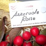 azzeruole_rosse