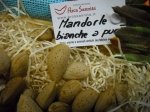 mandorle bianca a punta