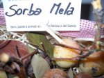 sorba_mela