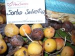 sorba_selvatica