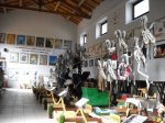museo-dei-misteri-ingegni