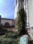 s-mariass-scorcio2
