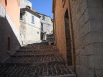 scorcio1