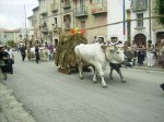 traglia1