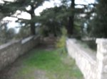 Faifoli-giardino