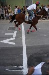 palio-cavallo-in.corsa