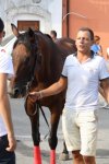 palio-particolare3