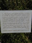lapide-posta-co-cippo-funerario