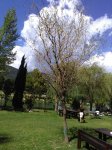 RipadeForti scorcio 4parco